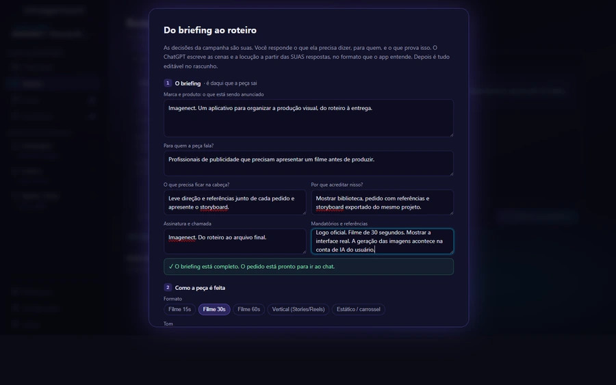 Tela real Do briefing ao roteiro, com campos da campanha preenchidos.